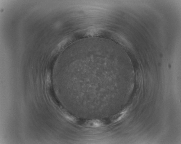 X0000078300127200611101143