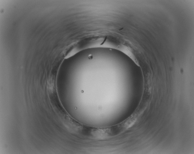 X0000078300129200611101143