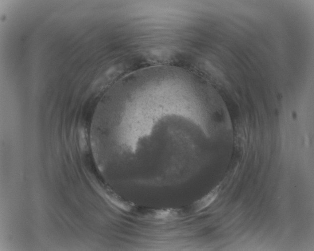 X0000078300130200611101143