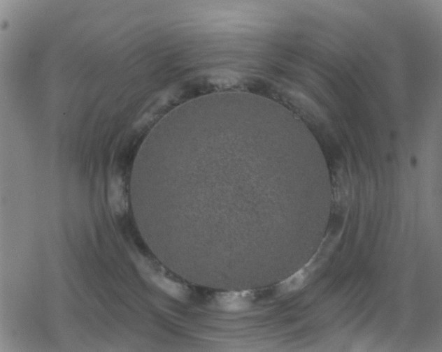 X0000078300136200611101143