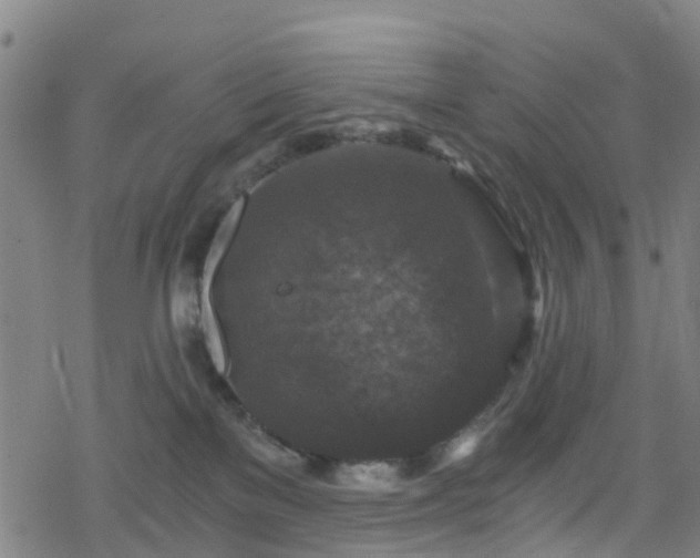 X0000078300137200611101143