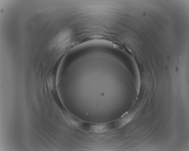 X0000078300139200611101143