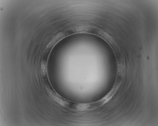 X0000078300142200611101143