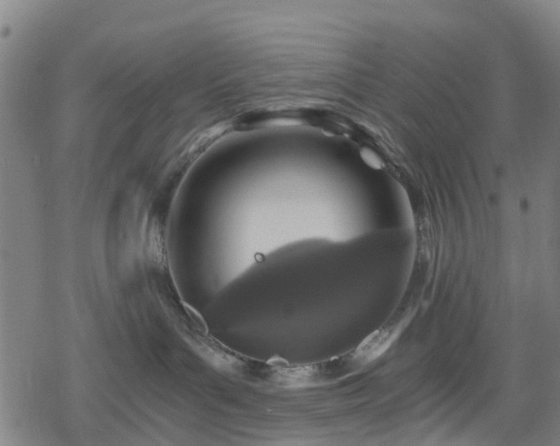 X0000078300143200611101143