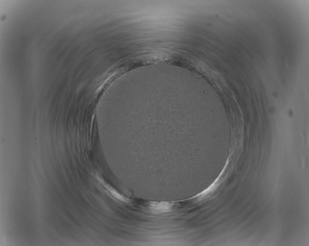 X0000078300144200611101143