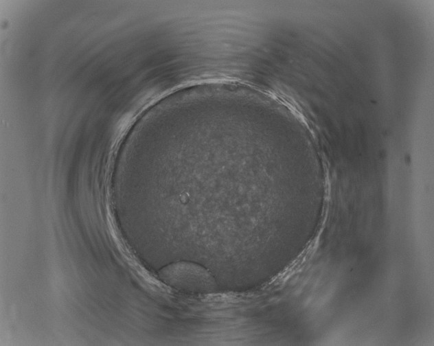 X0000078300145200611101142