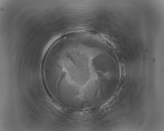 X0000078300147200611101142