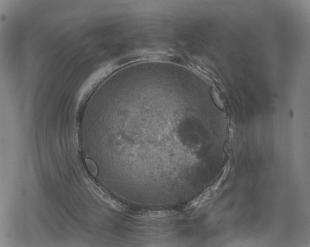 X0000078300149200611101142