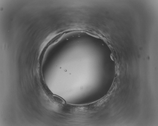 X0000078300152200611101142