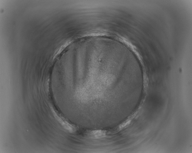 X0000078300153200611101142