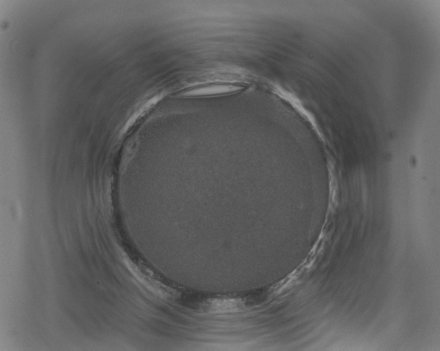 X0000078300154200611101142