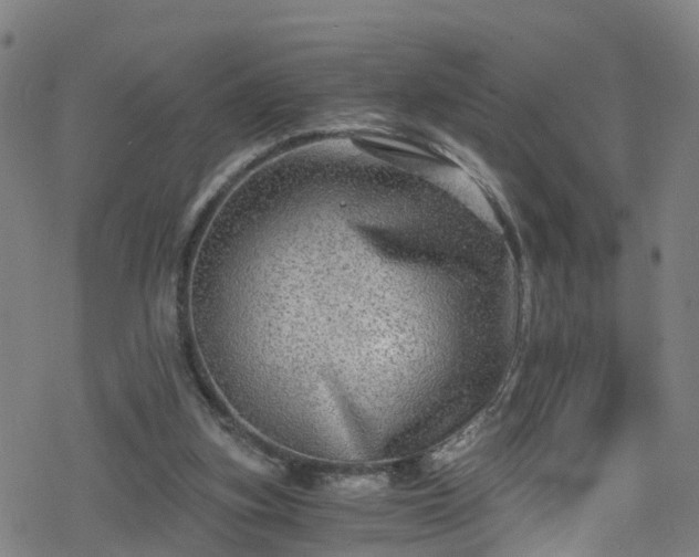 X0000078300155200611101142