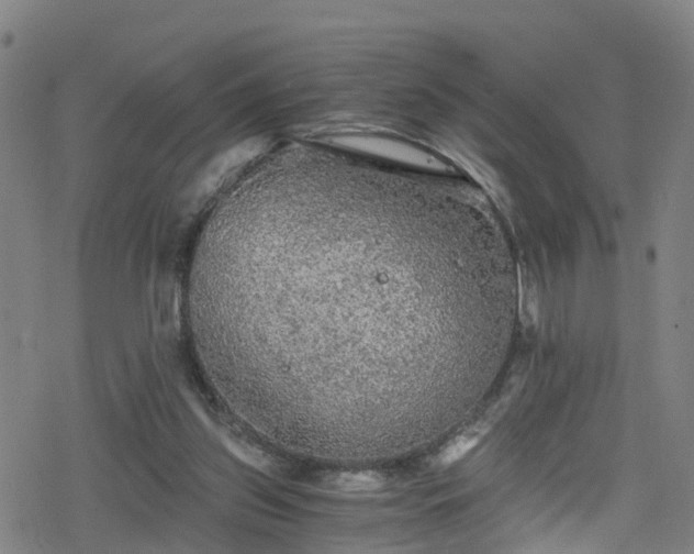 X0000078300157200611101142