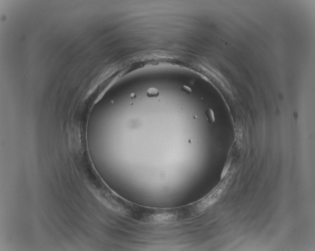 X0000078300158200611101142