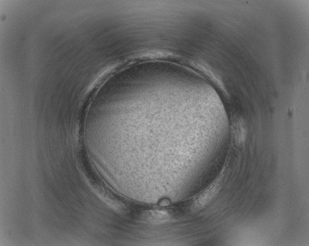 X0000078300159200611101142