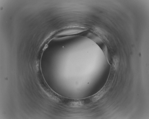 X0000078300160200611101142