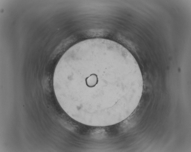 X0000078300162200611101142