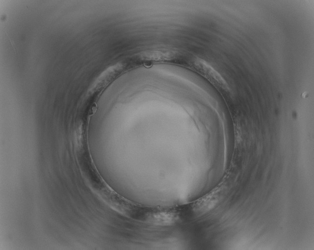 X0000078300163200611101142