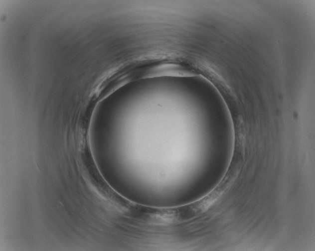 X0000078300164200611101142