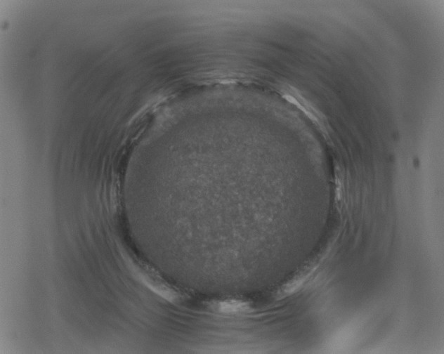 X0000078300165200611101142