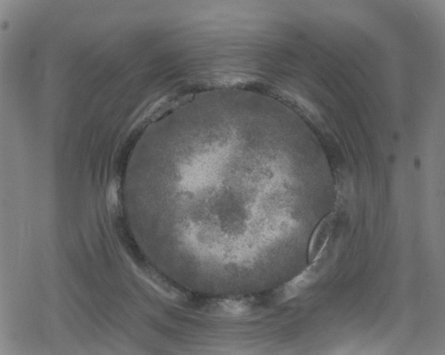 X0000078300166200611101142