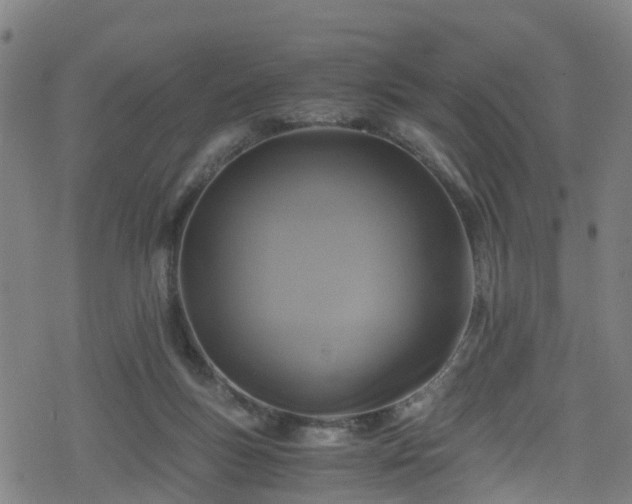 X0000078300167200611101142