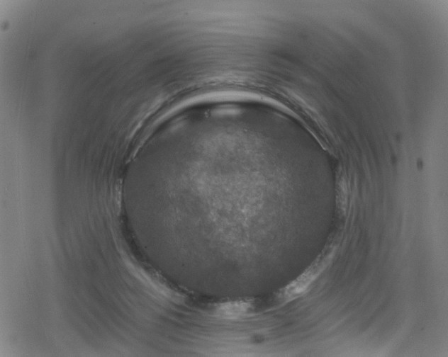 X0000078300168200611101142