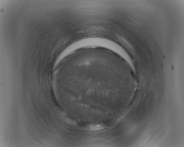 X0000078300169200611101142