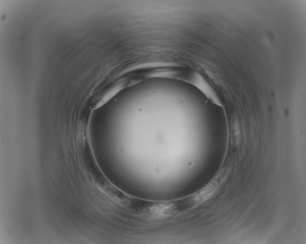 X0000078300172200611101142