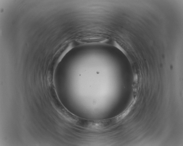 X0000078300174200611101143