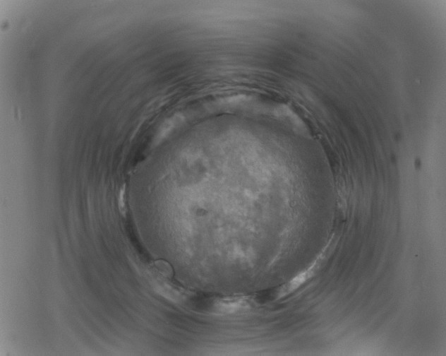 X0000078300175200611101143