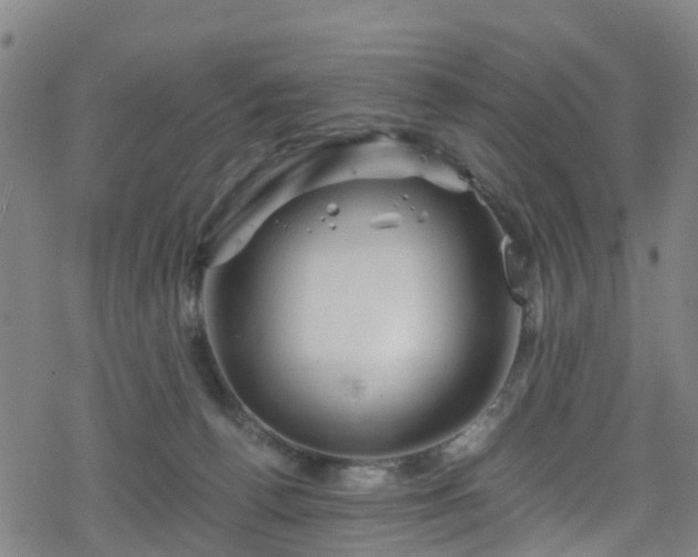 X0000078300176200611101143