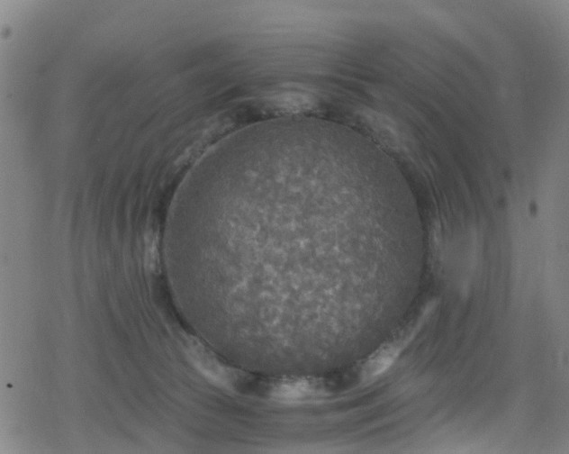 X0000078300177200611101143