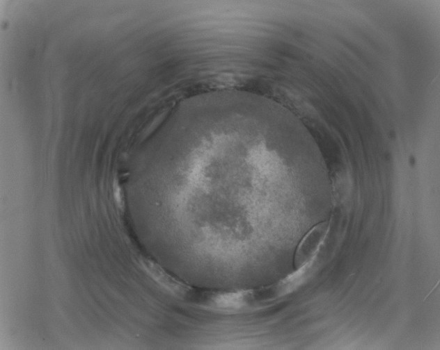 X0000078300178200611101143