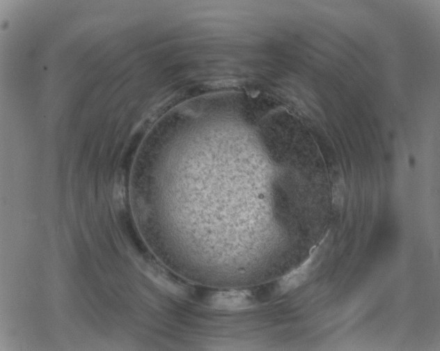 X0000078300179200611101143