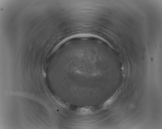 X0000078300180200611101143