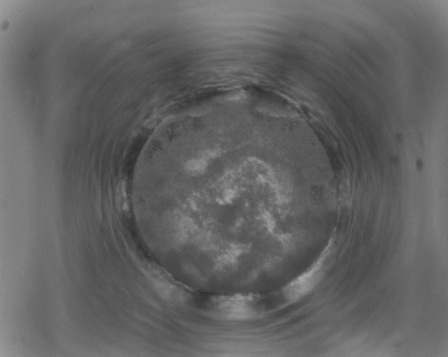 X0000078300182200611101143