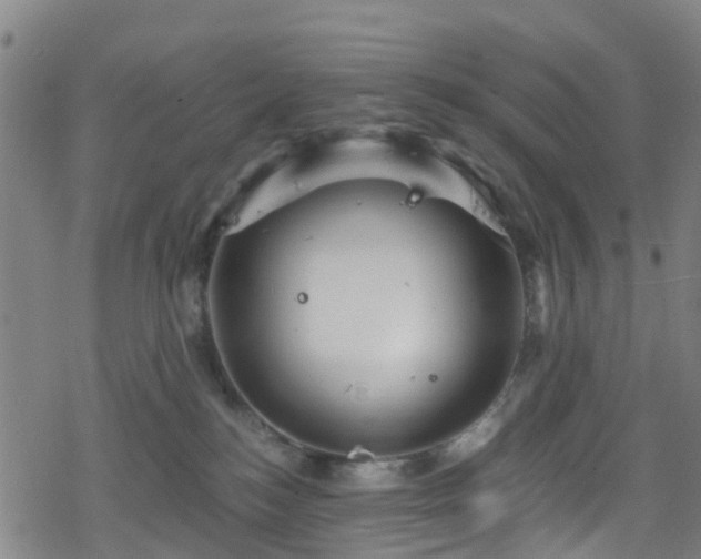 X0000078300184200611101143