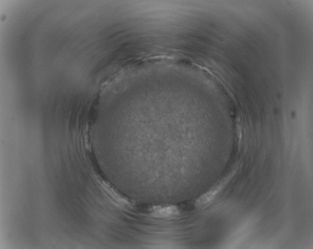 X0000078300185200611101143