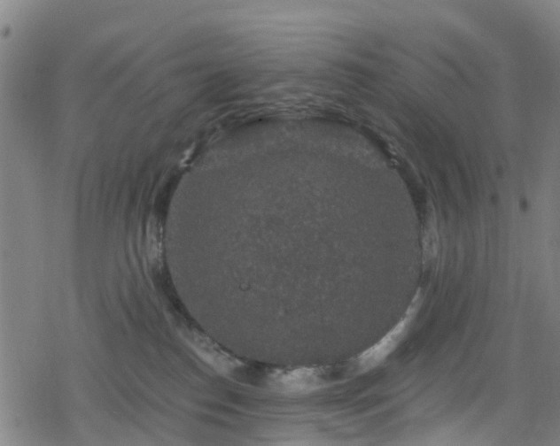 X0000078300186200611101143