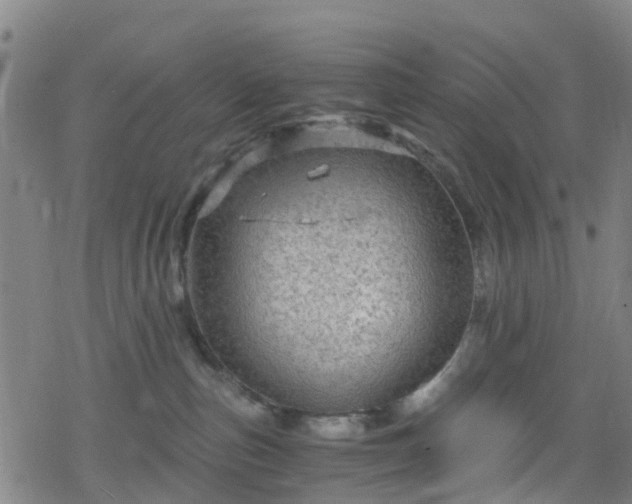 X0000078300187200611101143