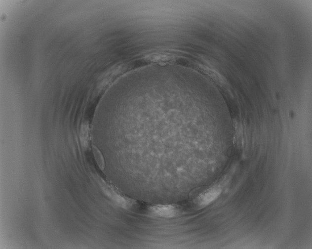 X0000078300189200611101143