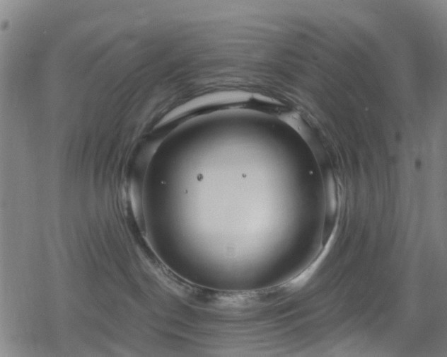 X0000078300190200611101143