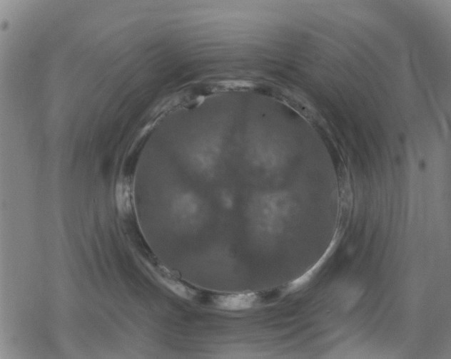 X0000078300191200611101143