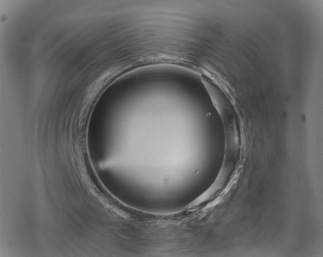 X0000078300193200611101142