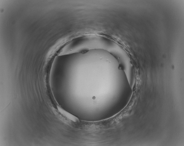 X0000078300197200611101142