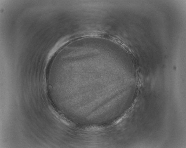 X0000078300198200611101142