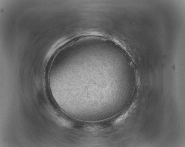 X0000078300199200611101142