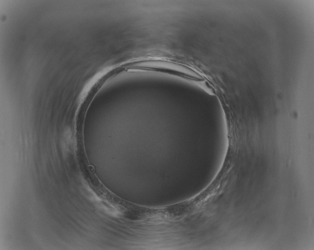 X0000078300200200611101142