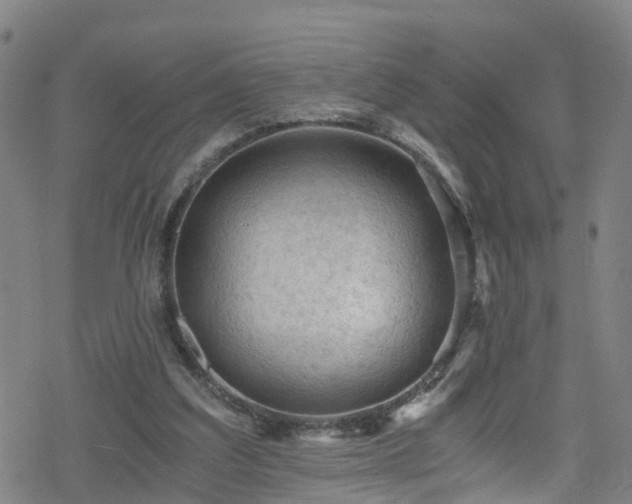 X0000078300203200611101142